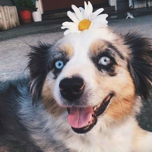 Meet your Posher, Kenzie